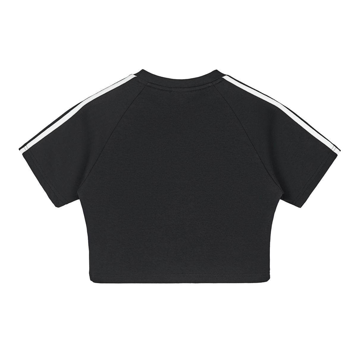 The Braided Glory C. Swan Crop Top