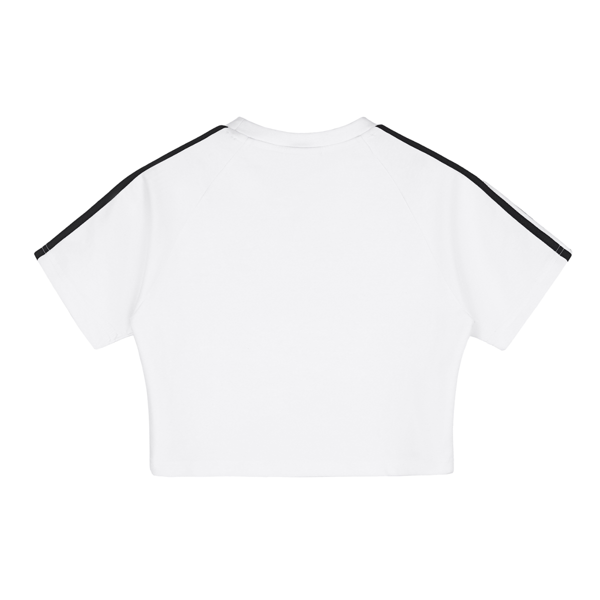 The Braided Glory C. Swan Crop Top